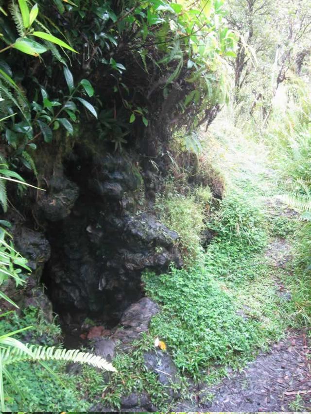 entrance to the closest and bigest cave (Pahoa)